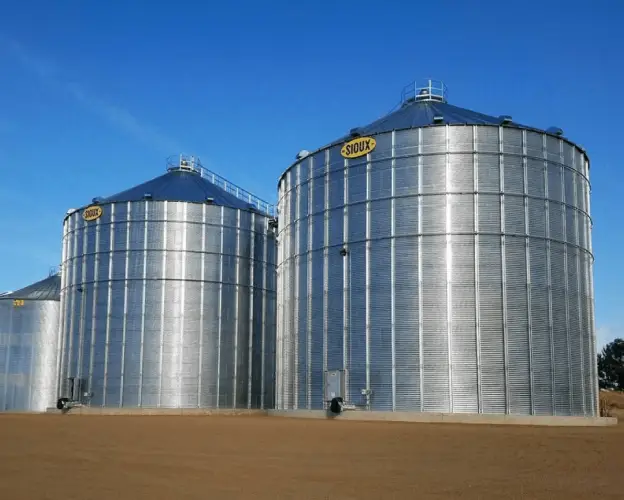 Big-bins-in-open-ground
